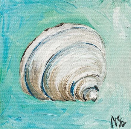 Framed Shell Print