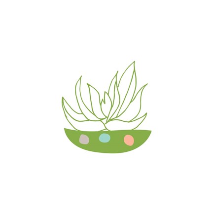 Framed Succulent II Print