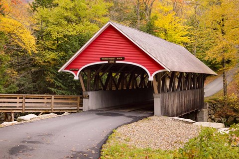 Framed Flume Colors Print