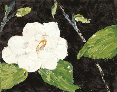 Framed Magnolia Branch Print