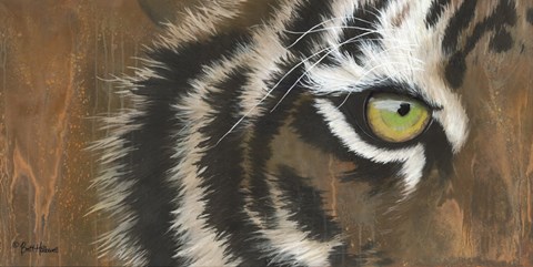 Framed Searching for the Man Cub Print