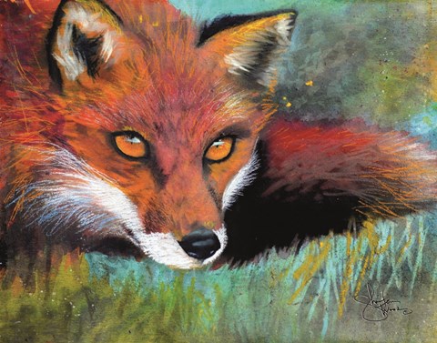 Framed Fox Prowl Print