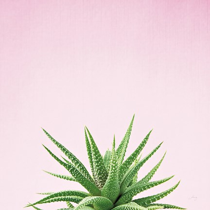 Framed Succulent Simplicity I on Pink Print