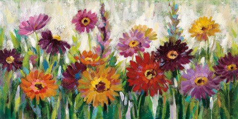 Framed Jewel Daisy Gerbera Print