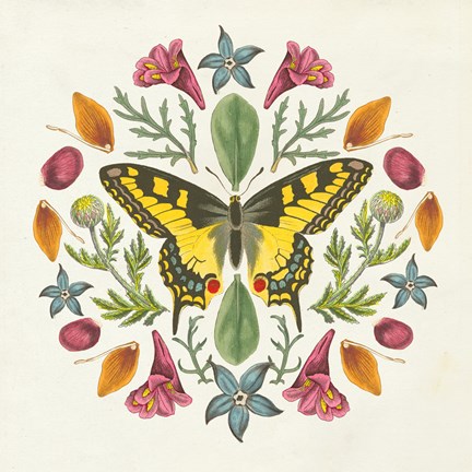 Framed Butterfly Mandala III Print