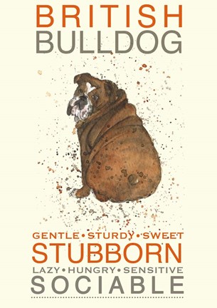 Framed British Bulldog Print