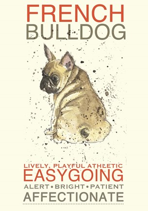 Framed French Bulldog Print