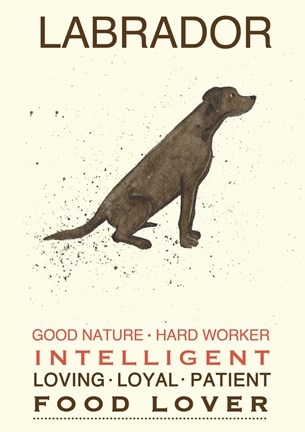 Framed Labrador Print