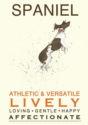 Framed Spaniel Print