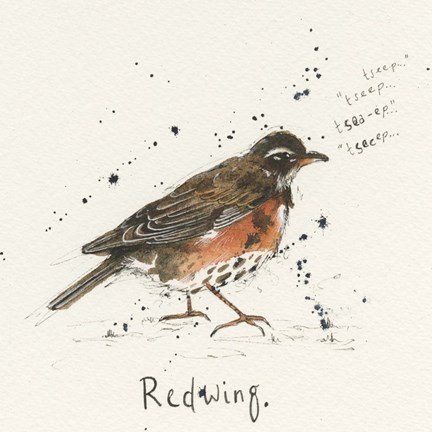Framed Redwing Print