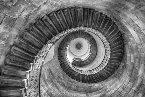 Framed Laberinto BW Print