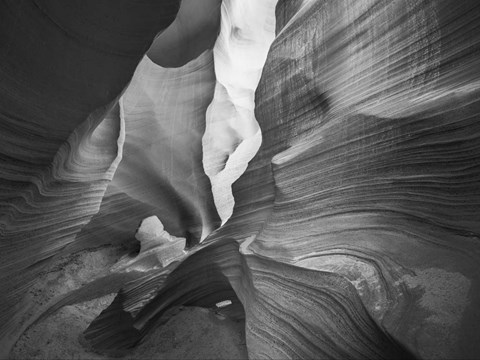 Framed Trapped Woman 2-1 Print