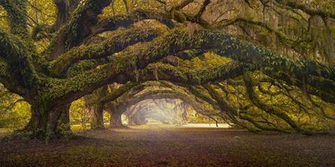 Framed Passage 1 Soft Color Print