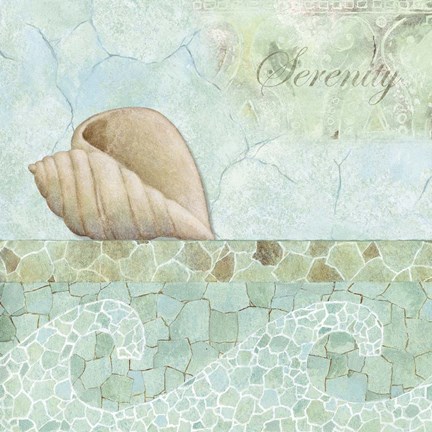 Framed Spa Shells I Print