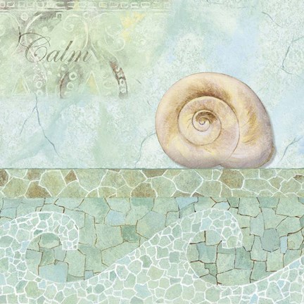 Framed Spa Shells IV Print