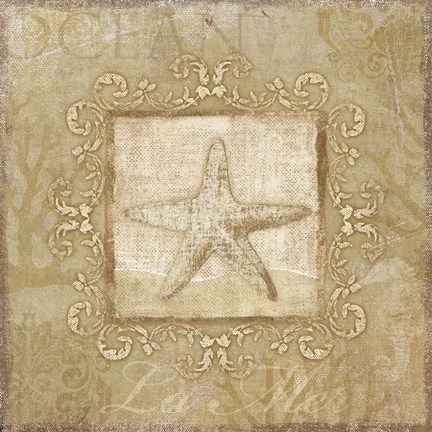 Framed Sophisticated Coastal I Print