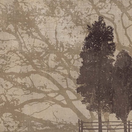 Framed Morning Mist II Print