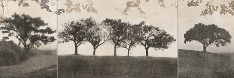 Framed At Dawn I Print