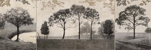 Framed At Dawn II Print