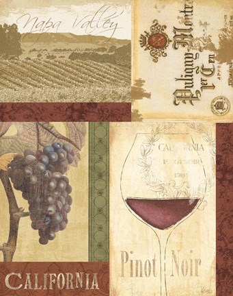 Framed Wine Valley II Print