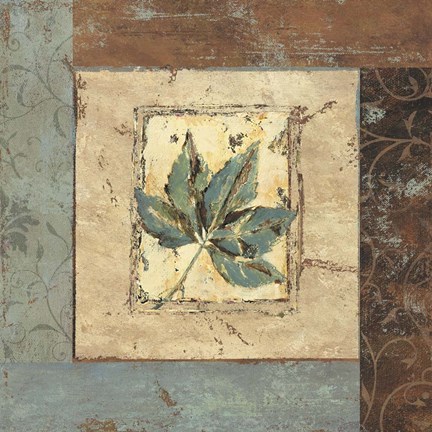 Framed Botanica IV Print