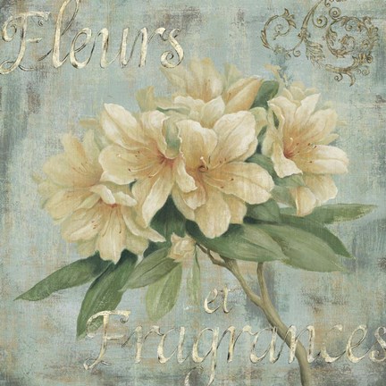 Framed Vintage Fragrance I Print