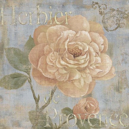 Framed Vintage Fragrance II Print