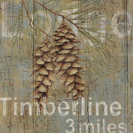 Framed Lodge II Print