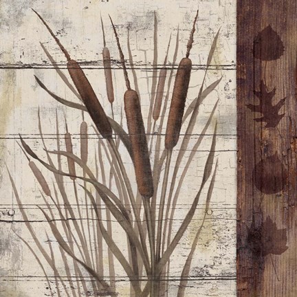 Framed Walk To The Pond I Print