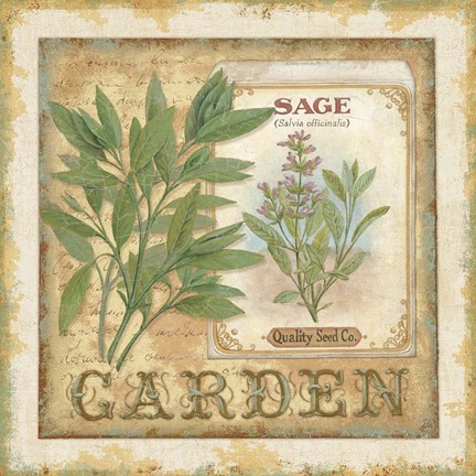 Framed Fine Herbs II Print