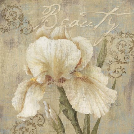 Framed Vintage Petals III Print