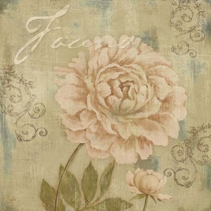 Framed Vintage Petals IV Print