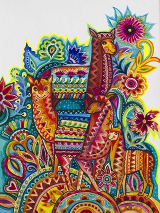 Framed Alpaca From Mexico Print