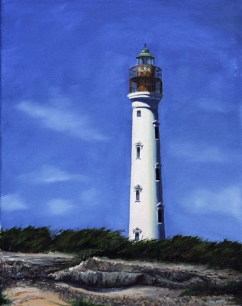 Framed Aruba Lighthouse Print