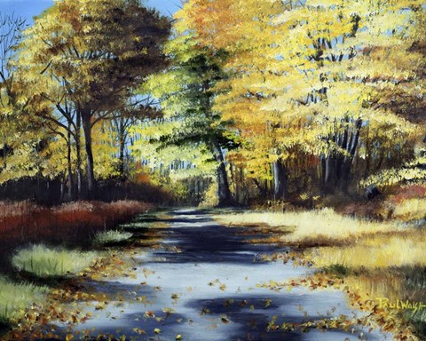 Framed Fall's Path Print
