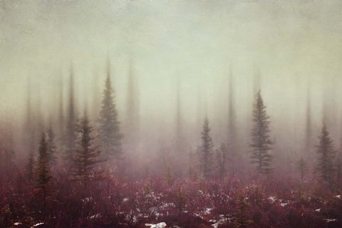 Framed Hazy Days Print