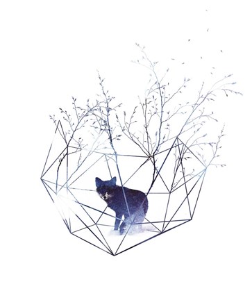 Framed Organic Prison Print