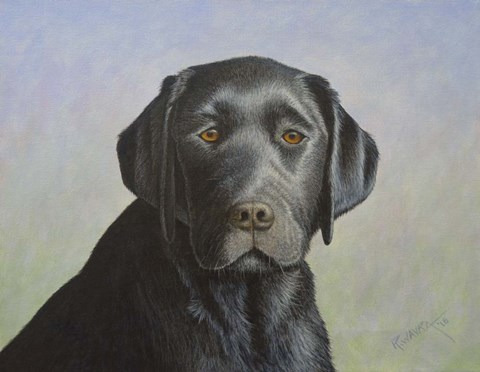 Framed Black Labrador Retriever Print
