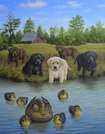 Framed Puppies And Ducklings Print
