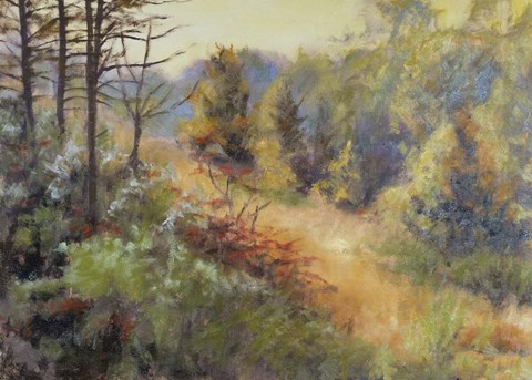 Framed Autumn Glow Print