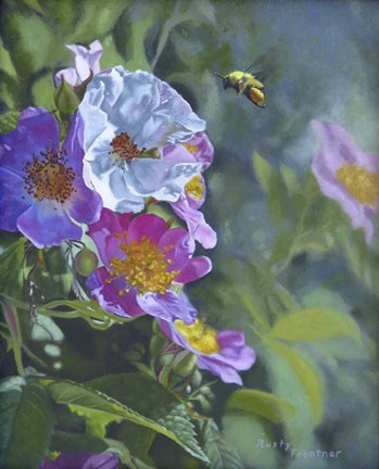 Framed Wild Roses Print