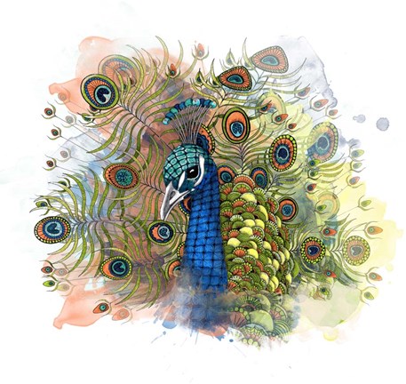 Framed Percival The Peacock Print