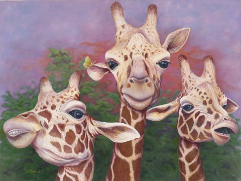 Framed Curious Conversation Print