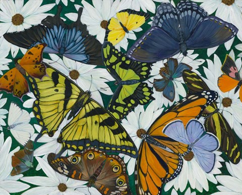 Framed Butterfly Collage Print