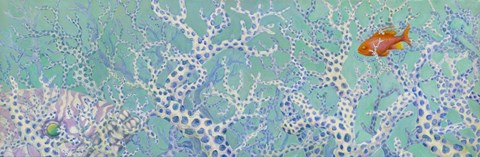 Framed Coralation Print