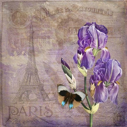 Framed Ville de Paris II Print