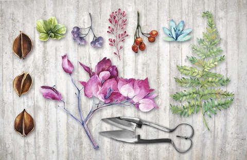 Framed Botanica II Print