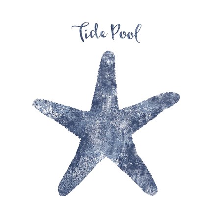 Framed Starfish Tide Pool Print