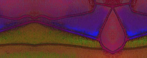 Framed Compartmentalization Print