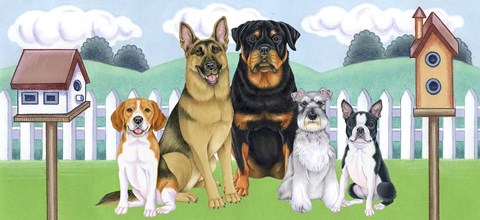 Framed Great Outdoors Backyard Print